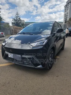 BYD Seagull 2024 Black