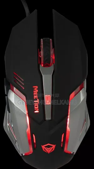 Computer Mouse