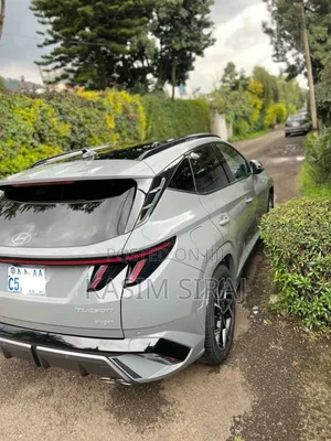 Hyundai Tucson Limited 2024 Blue