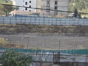 አስቸካይ የሚሸጥ የእሪልስቴት ባታ