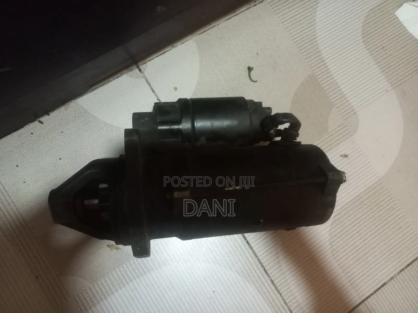 Lucas Motorino Starter