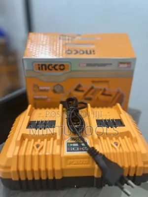 Ingco Dual Battery Charger Ingco