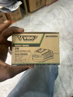 Vido Battery Charger