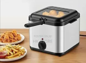 Electric Fryer