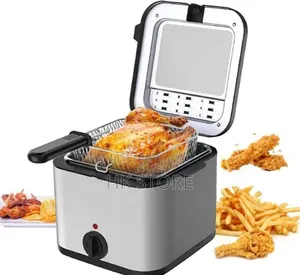 Electric Fryer