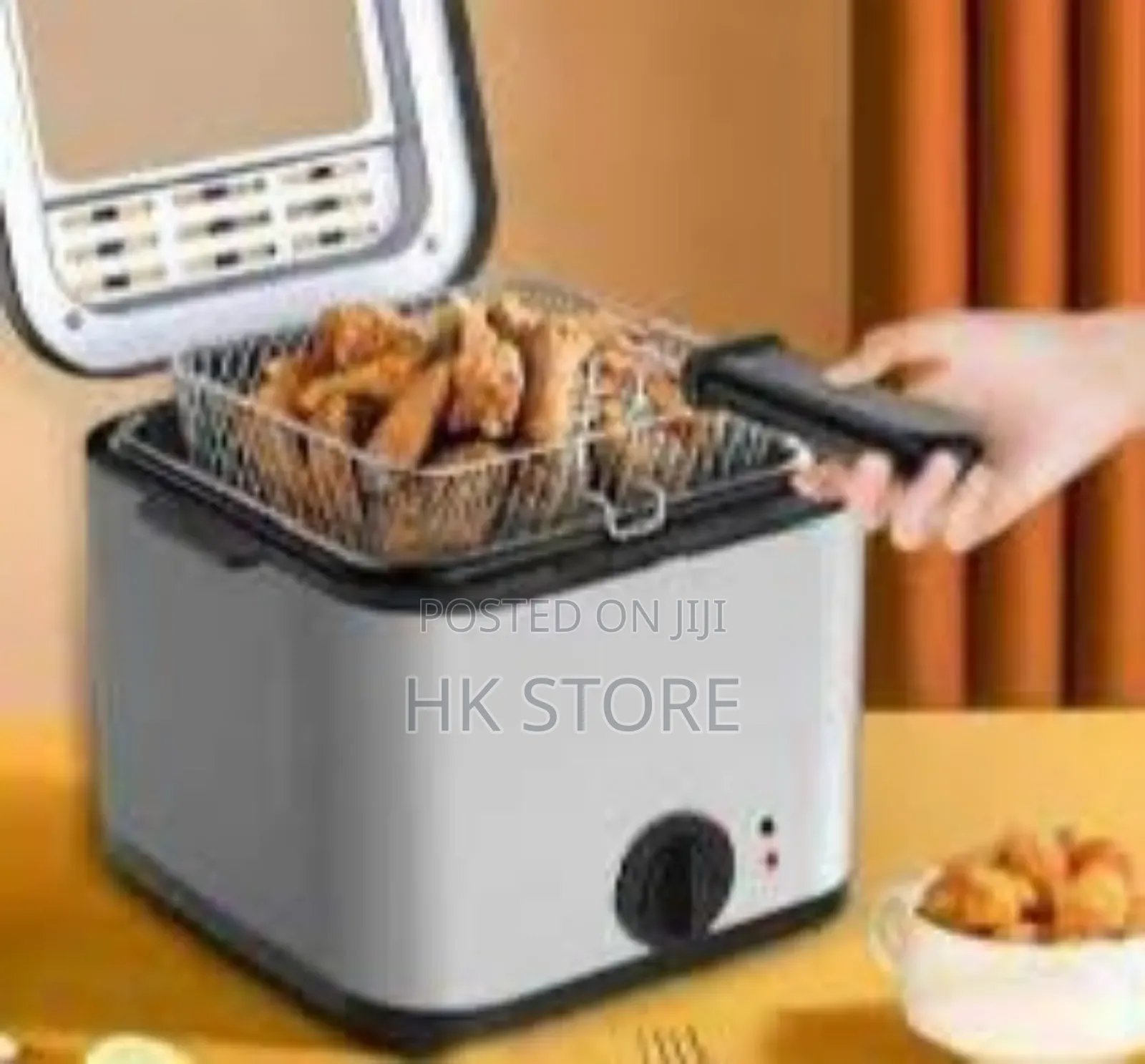Electric Fryer