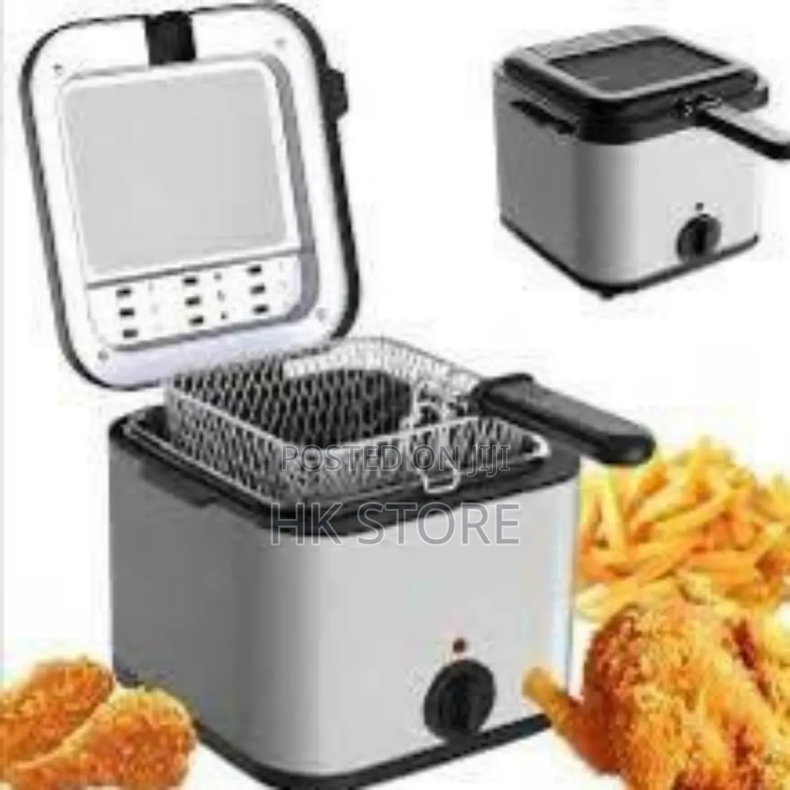 Electric Fryer