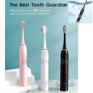 The Ideal Stocking Stuffer: Sonic Electric Toothbrush