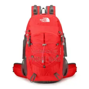 The North Face Back Bags