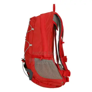 The North Face Back Bags