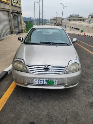 Toyota Corolla 2003 Gray