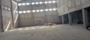 መጋዝን ኪራይነዉ