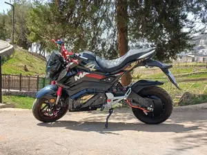 Motorcycle 2025 Black
