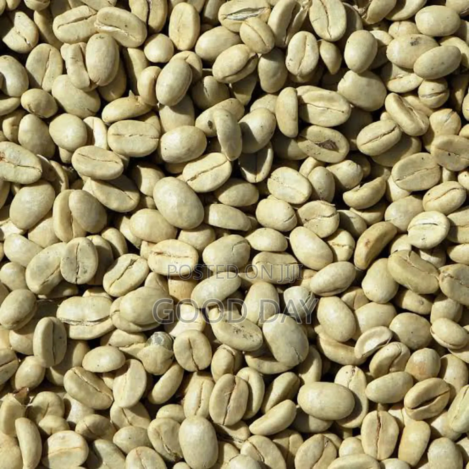 Quality Coffee Beans