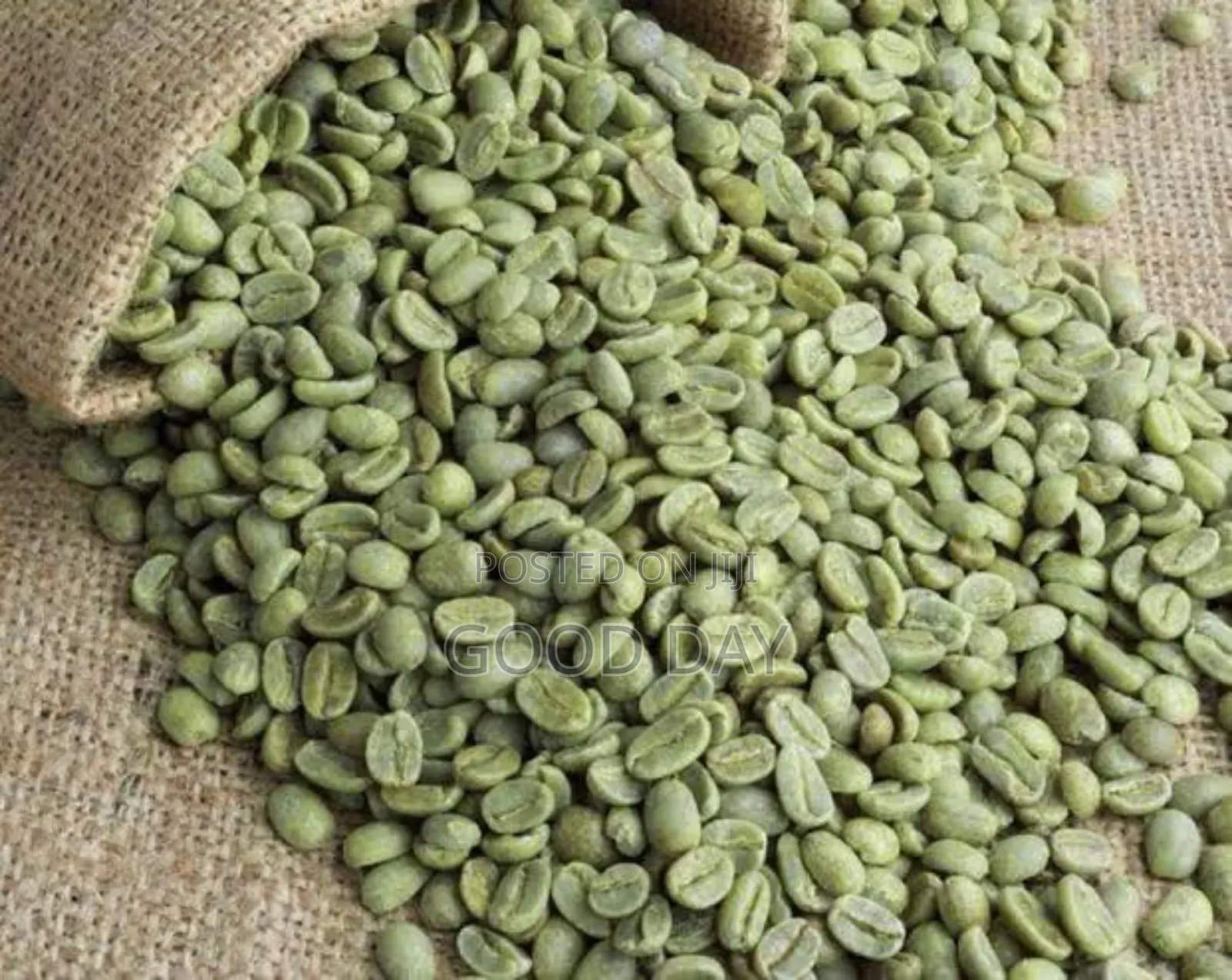 Quality Coffee Beans