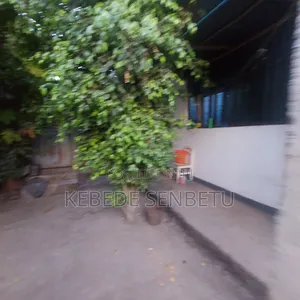 Chicken Ware House For Rent