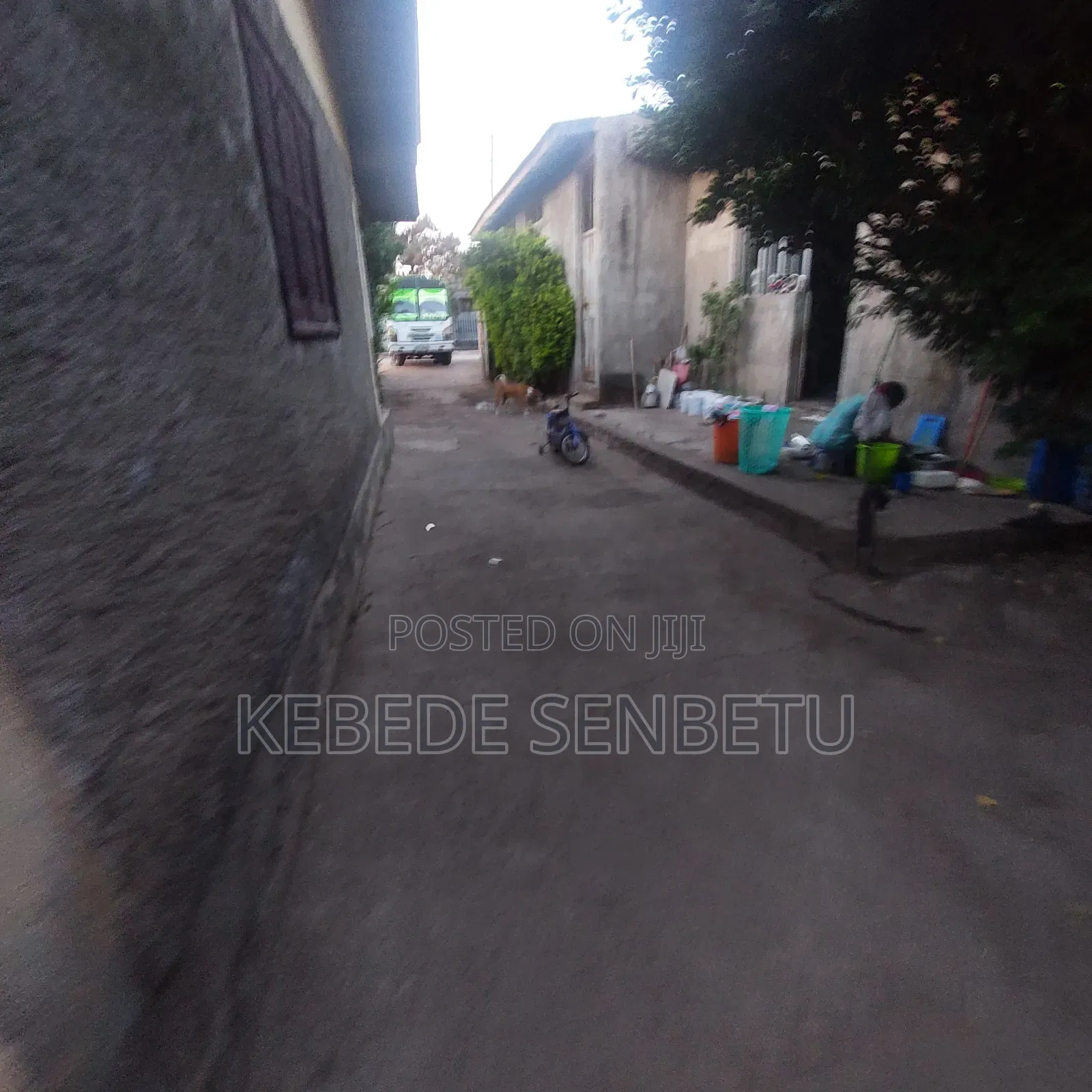 Chicken Ware House For Rent