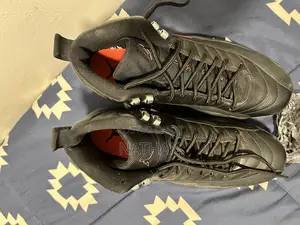 Air Jordan 11s