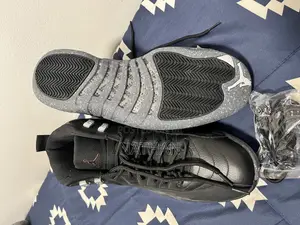 Air Jordan 11s