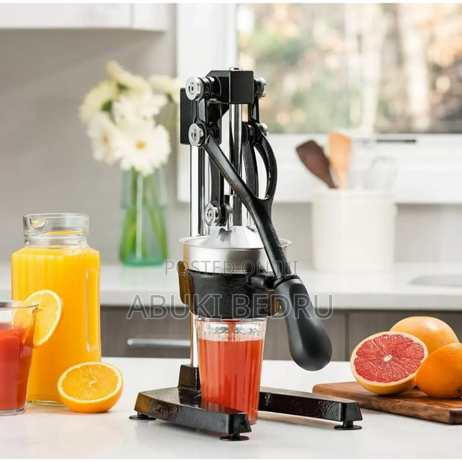 Manual Fruit Press