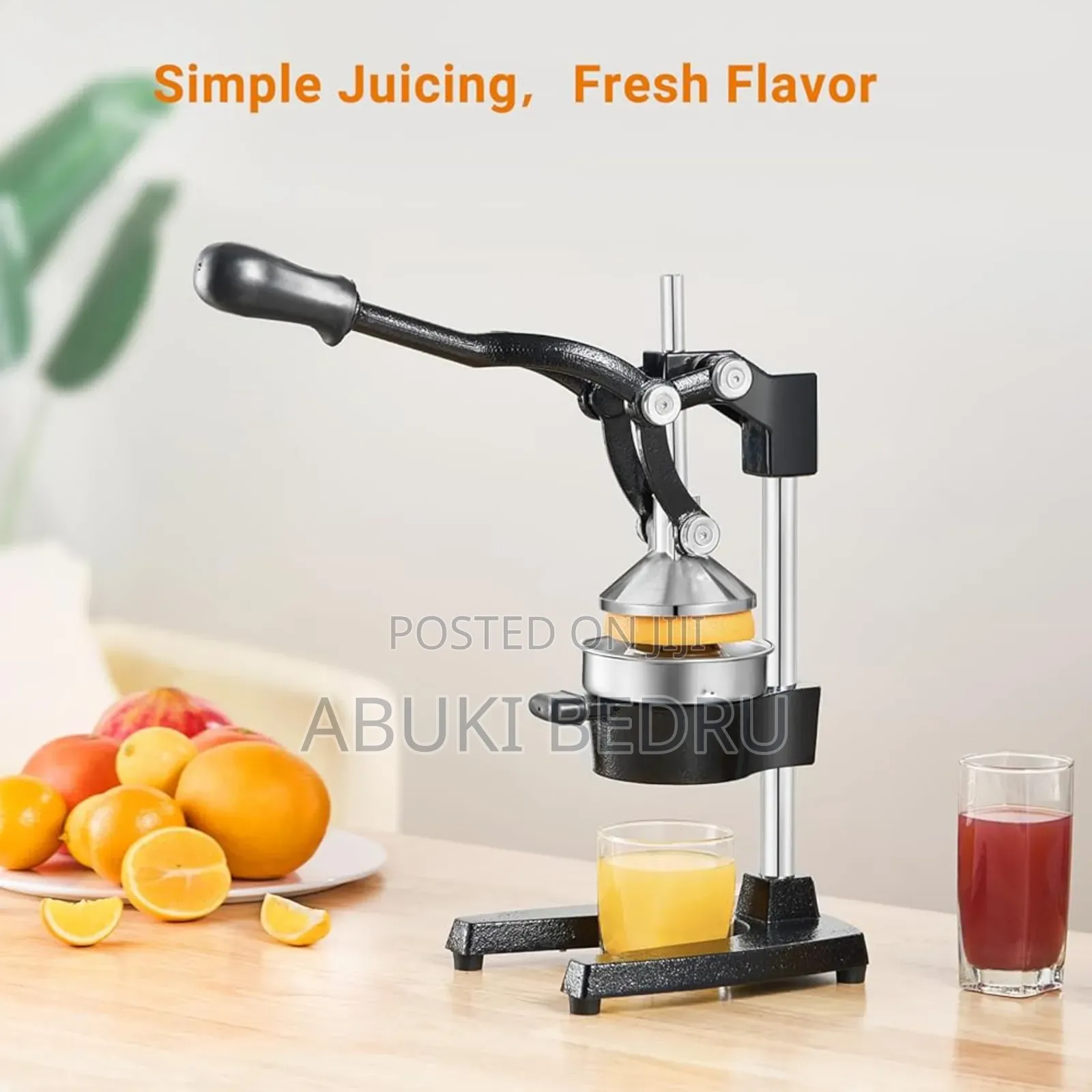 Manual Fruit Press