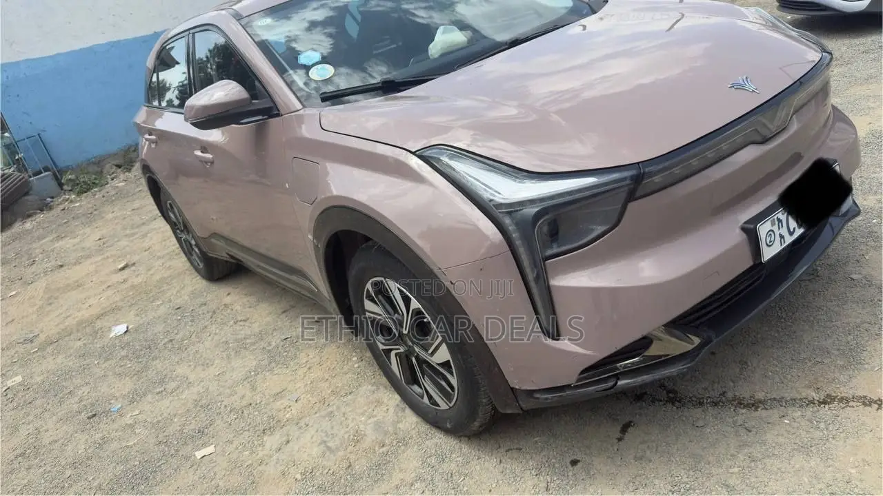 Hozon Neta U 2023 Pink