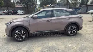 Hozon Neta U 2023 Pink