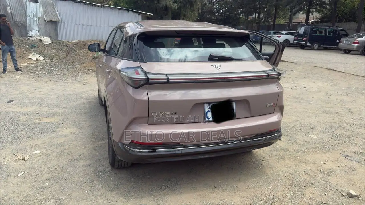 Hozon Neta U 2023 Pink