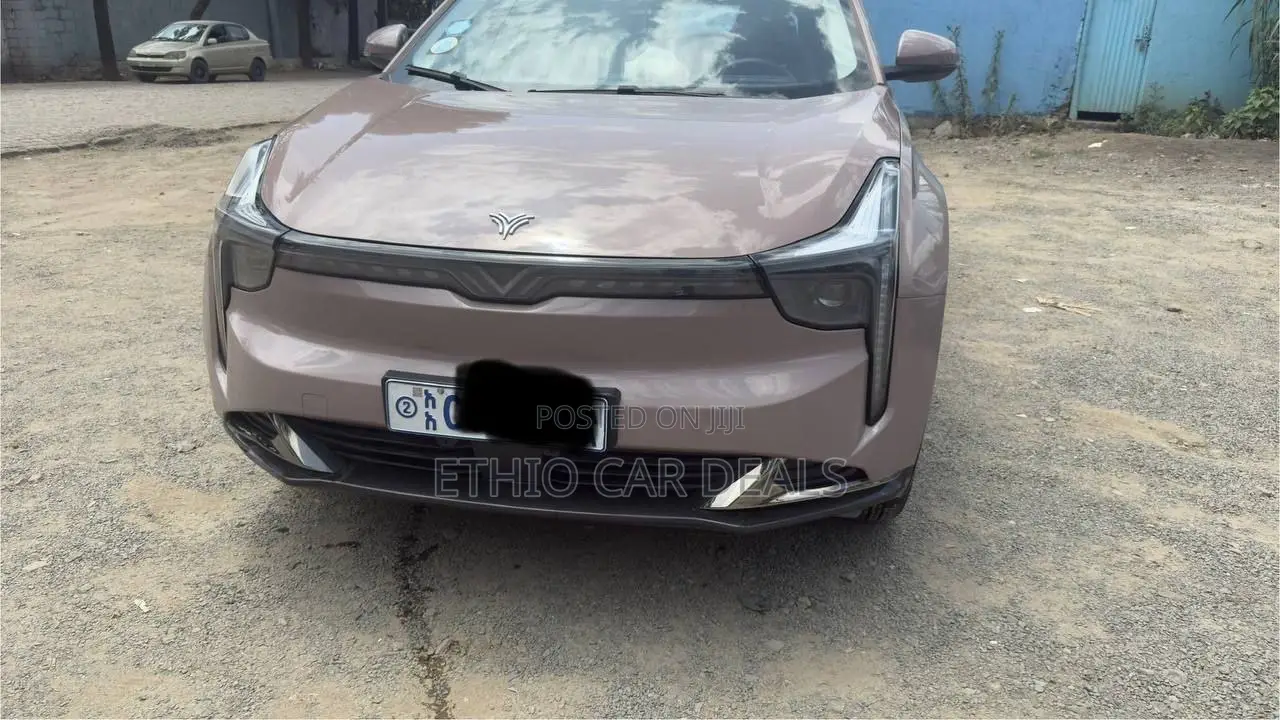 Hozon Neta U 2023 Pink