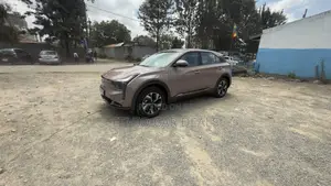 Hozon Neta U 2023 Pink