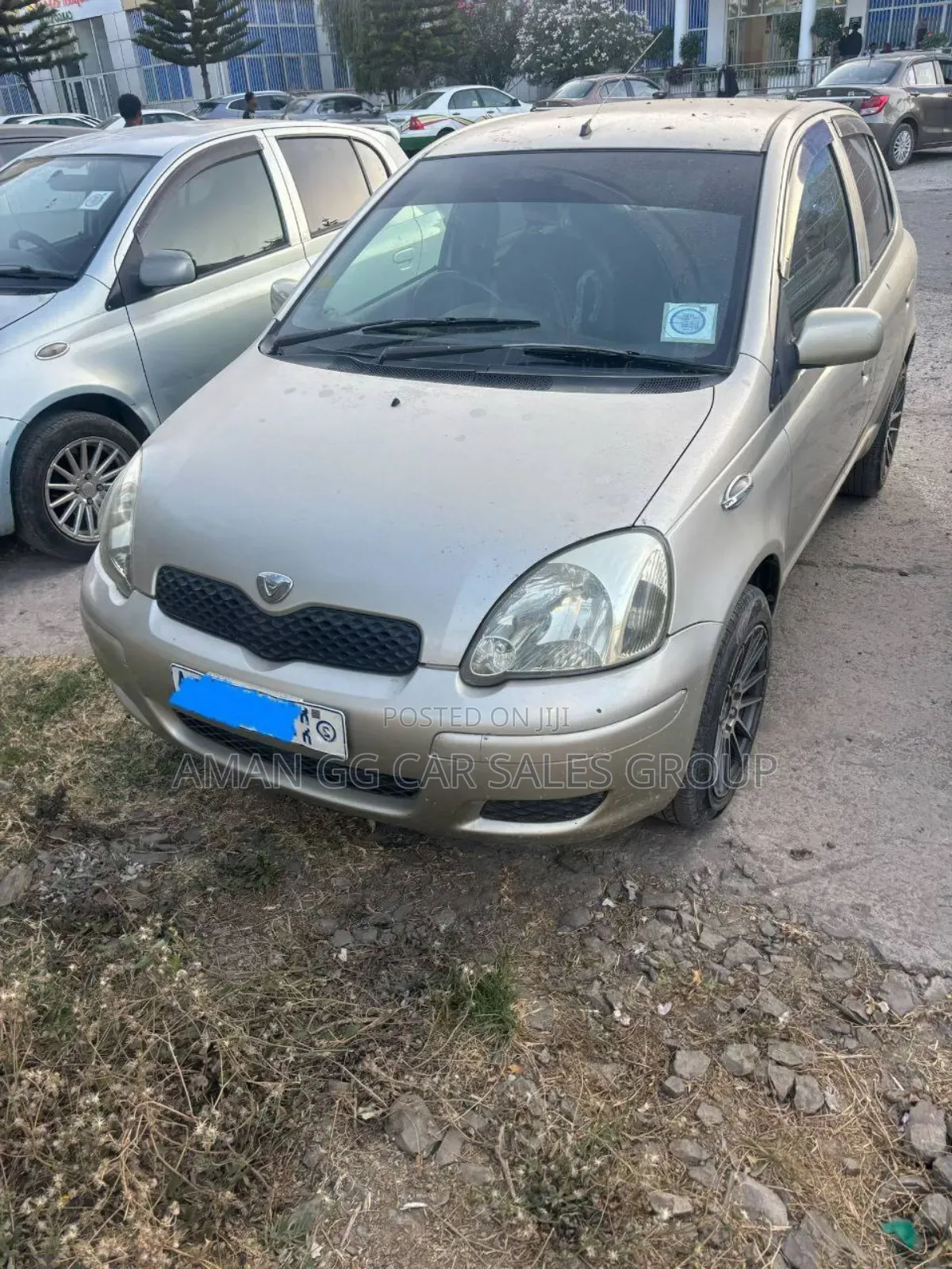 Toyota Vitz 2003 Pearl