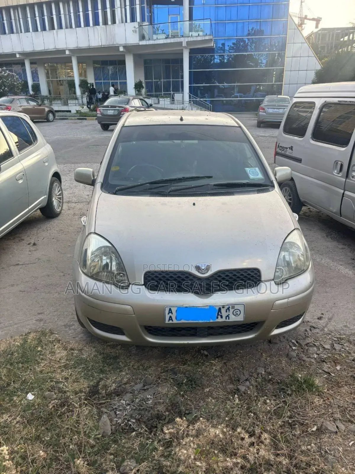 Toyota Vitz 2003 Pearl