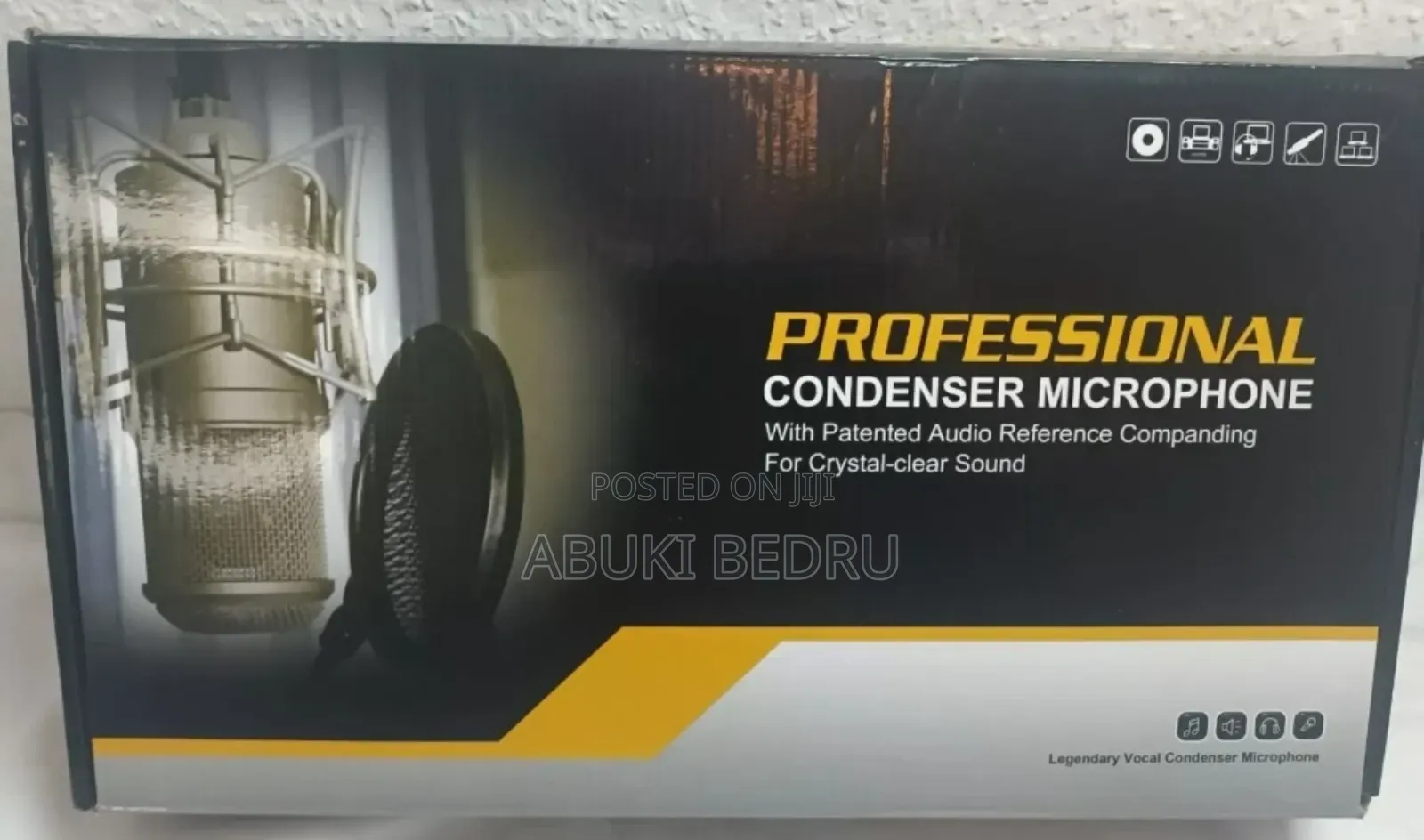 Professional Condenser Microphone