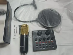 Professional Condenser Microphone