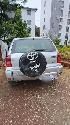 Toyota RAV4 2002 Silver