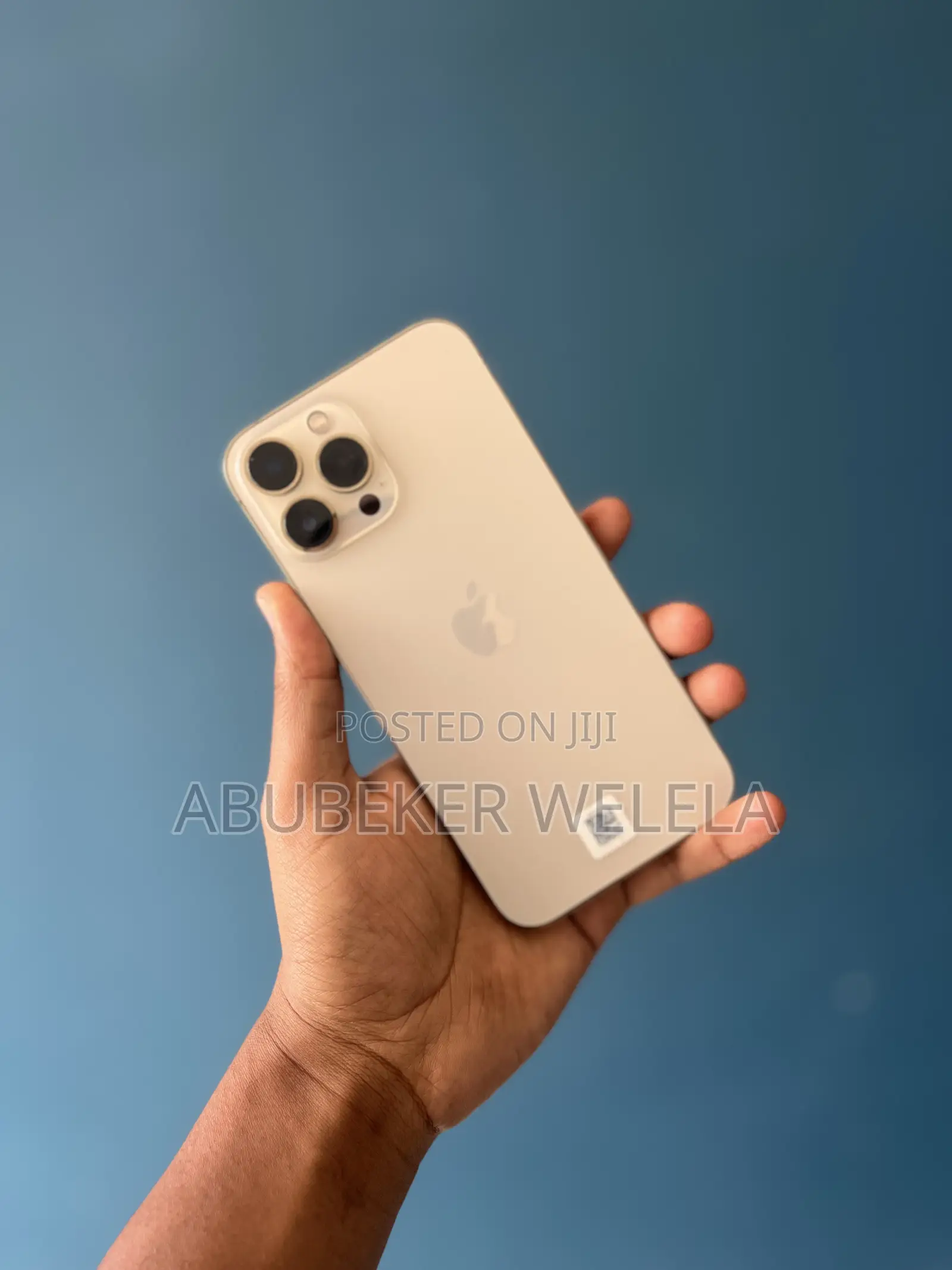 Apple iPhone 13 Pro Max 512 GB Rose Gold