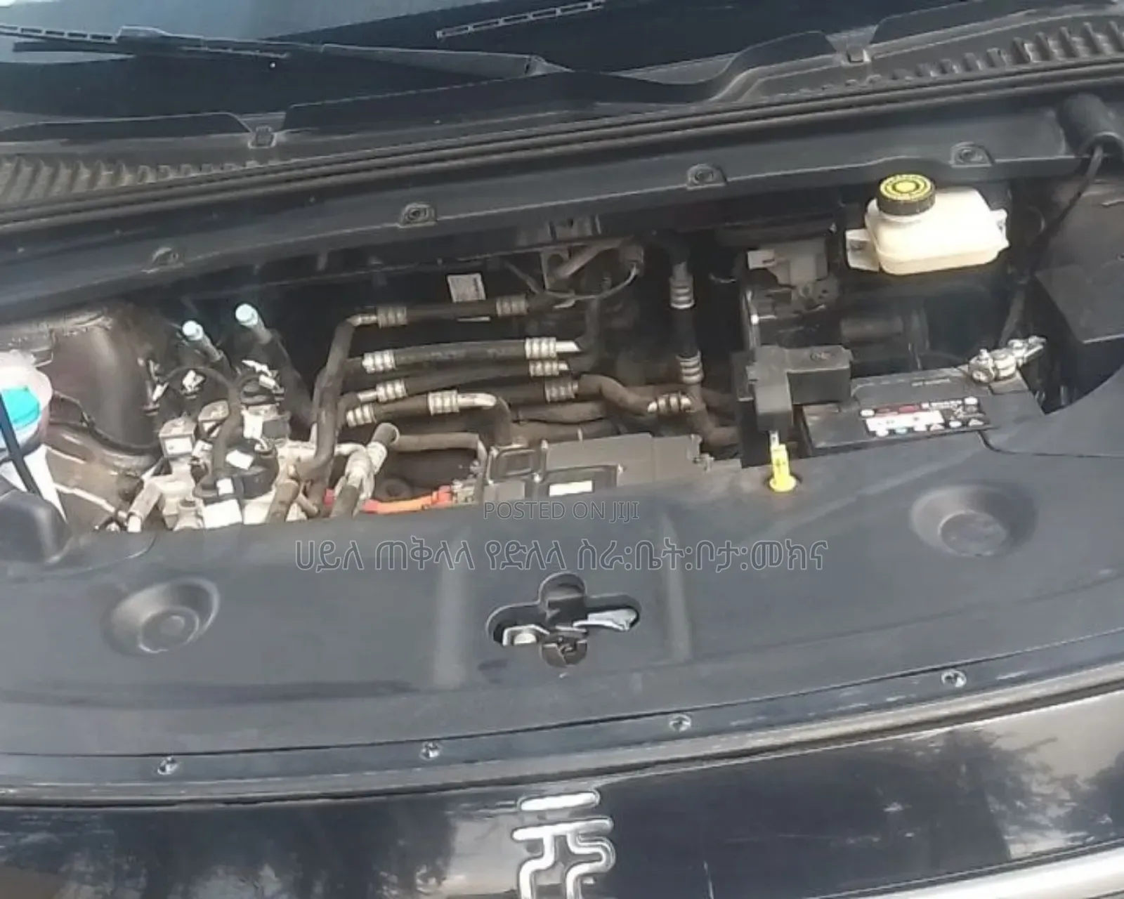 BYD Yuan Up 2025 Teal