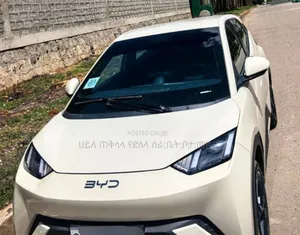 BYD Seagull 2025 Teal