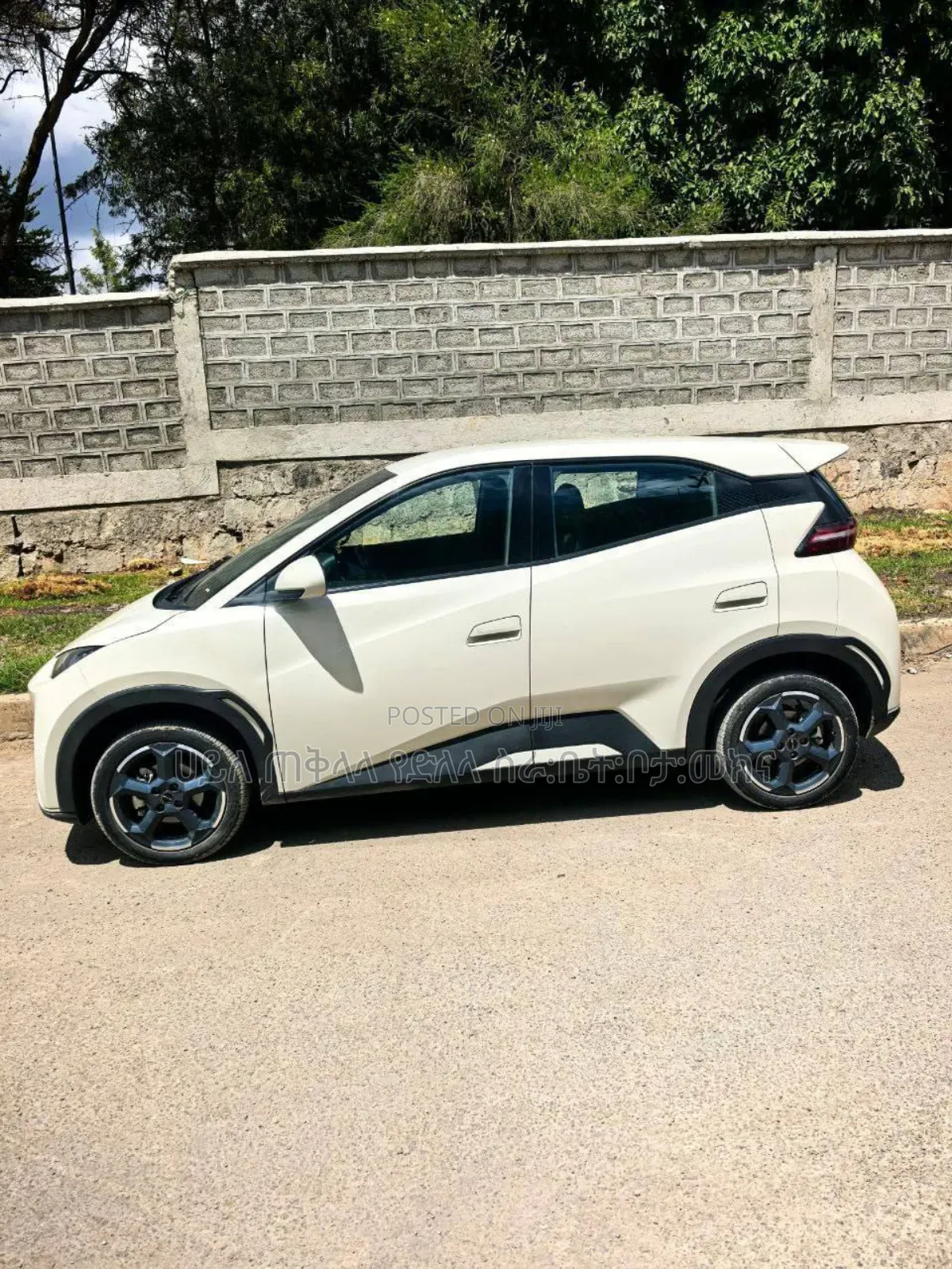 BYD Seagull 2025 Teal