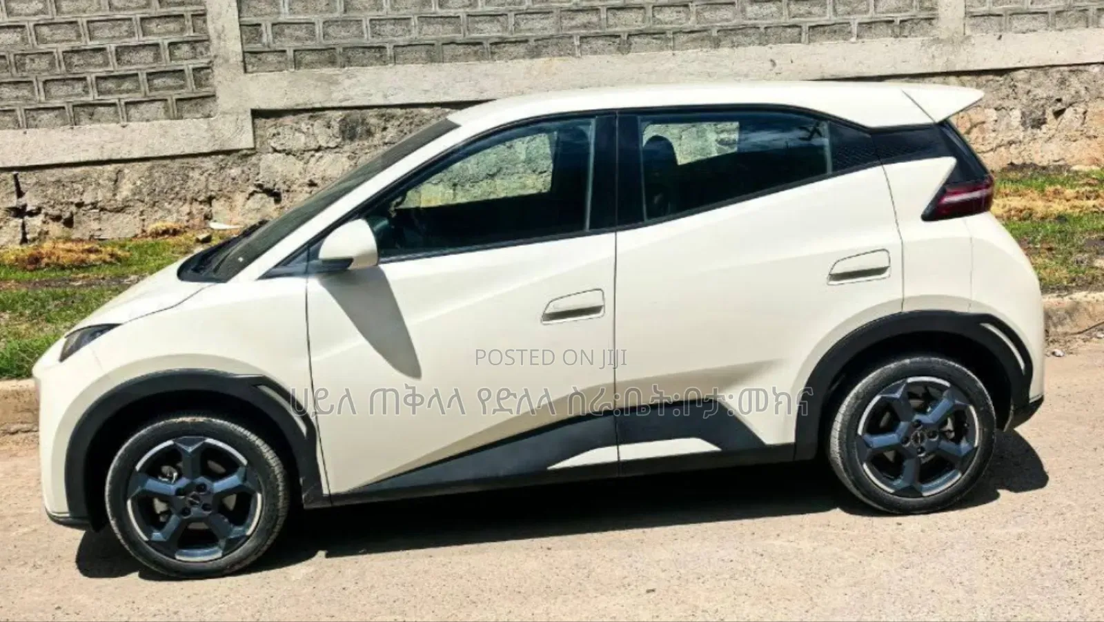 BYD Seagull 2025 Teal