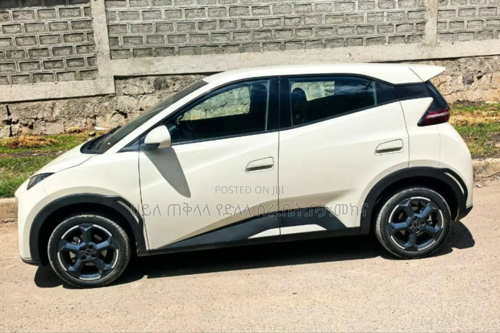 BYD Seagull 2025 Teal