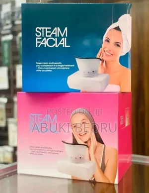 Face Steamer