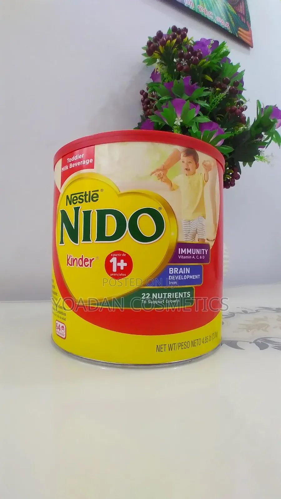 Original Nido Kinder1+ Milk