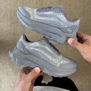 Alo Gray High Master Quality Smooth Sneakers for You