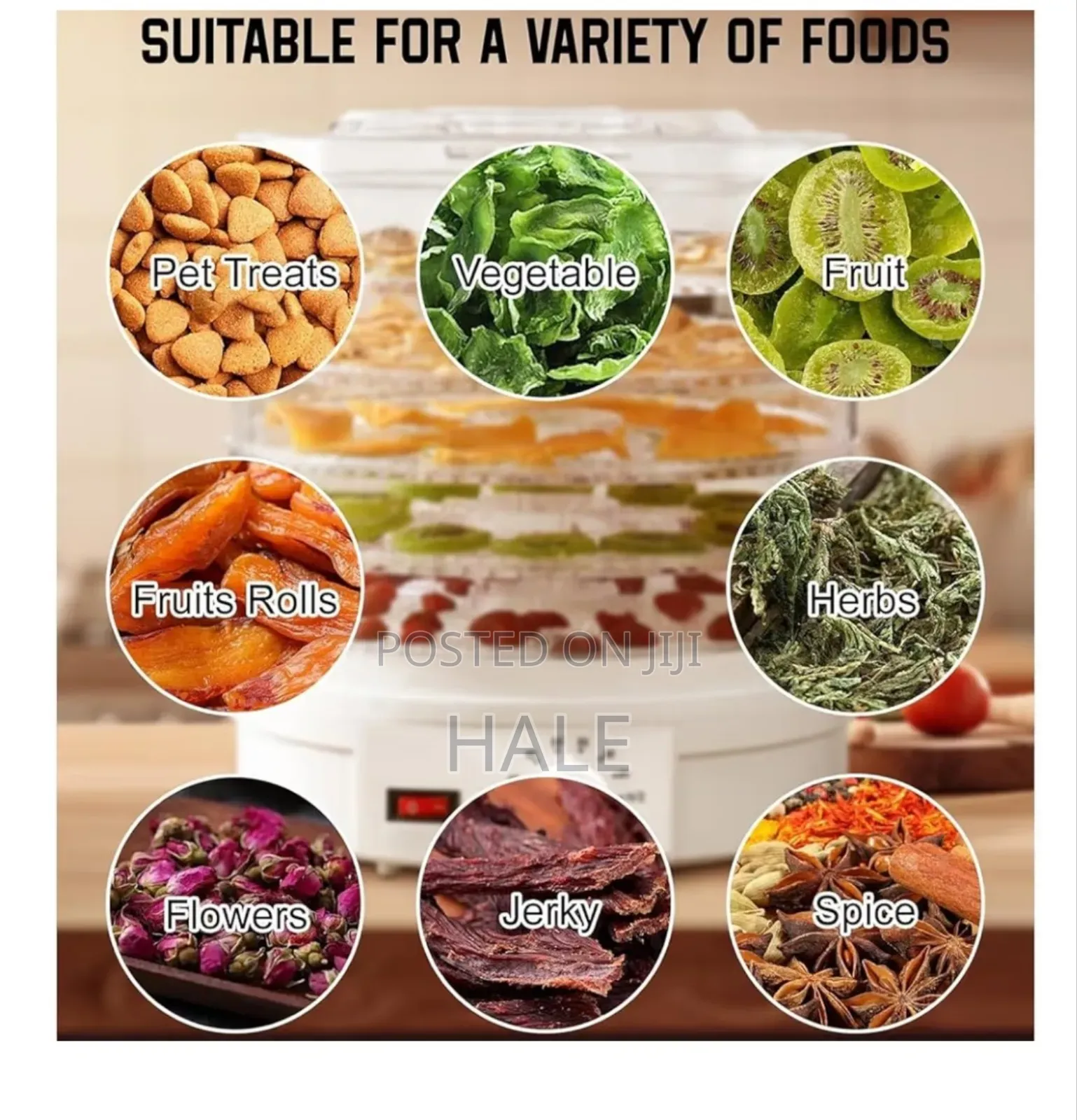 Food Dehydrator