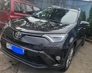 Toyota RAV4 2018 Burgundy