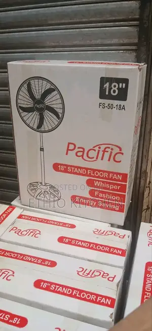 Standing Fan