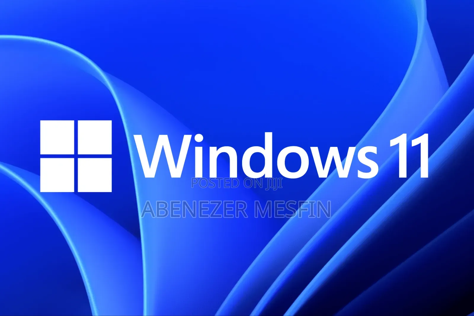 Windows 11 Professional – Activated