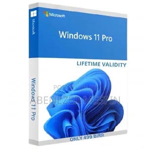 Windows 11 Pro Activated