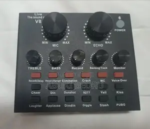 Professional Condenser Microphone